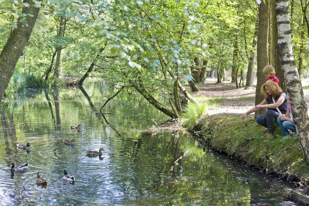 Center Parcs Meerdal Limburg-Brabant America Exteriör bild