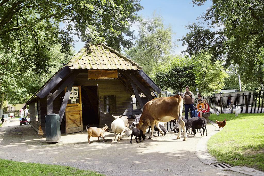 Center Parcs Meerdal Limburg-Brabant America Exteriör bild