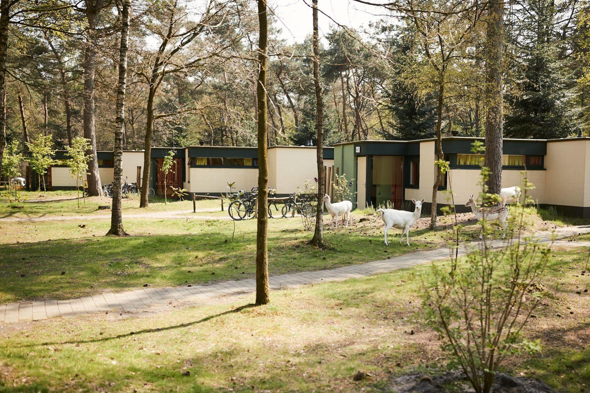 Center Parcs Meerdal Limburg-Brabant America Exteriör bild